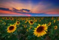 /album/fotogalereya/a101019-jpg/